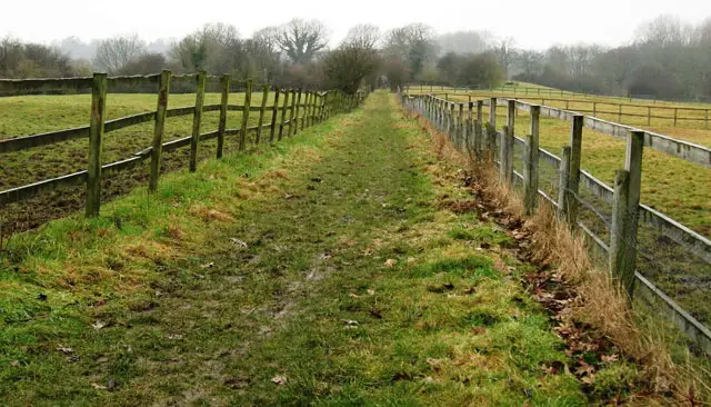 Slinfold Walk, Sussex