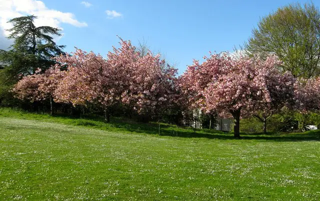Stanmer Park Walk, Sussex