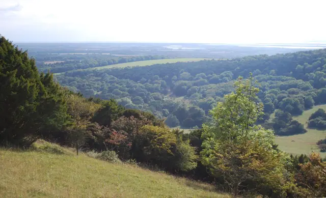 Stoughton Down Walks, Sussex
