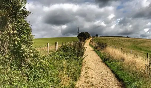 St Roche's Hill Walks, Sussex