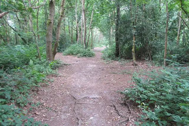 Sullington Warren Walks, Sussex