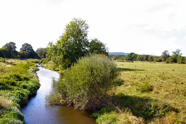 The Mens Walks, Sussex
