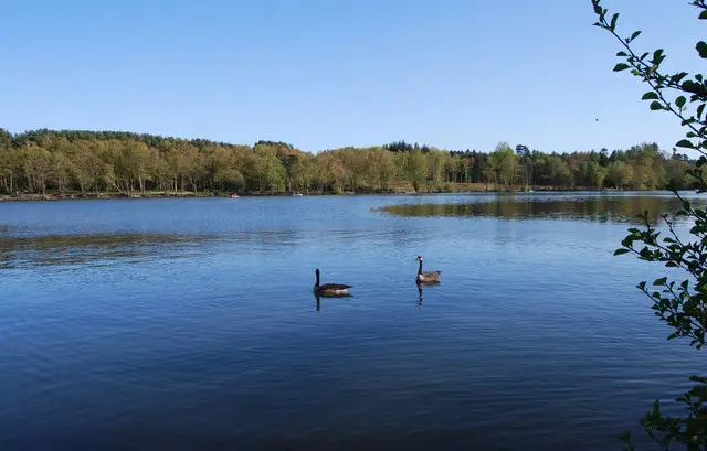 Tilgate park Walks, Sussex
