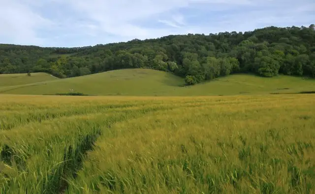Treyford Hill Walk, Sussex