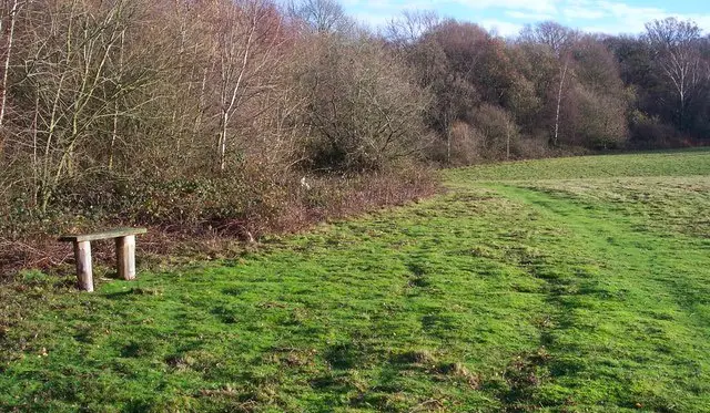 Tudeley woods Walk, Sussex