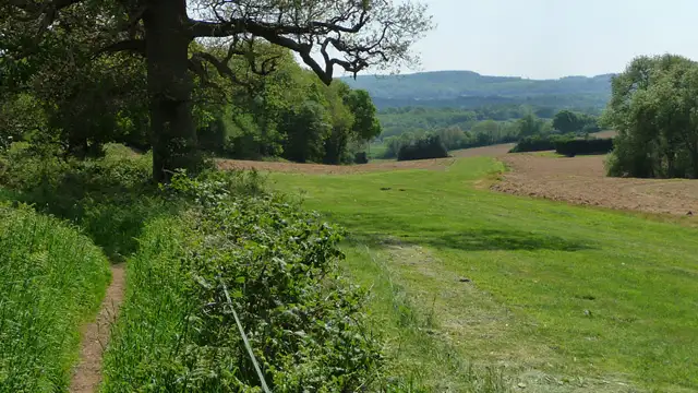 Tullecombe Walks, Sussex