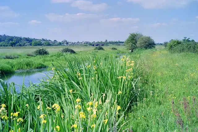 Waltham Brooks Walks, Sussex