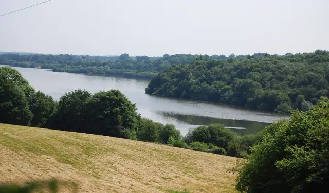 Weir Wood Reservior Walks, Sussex