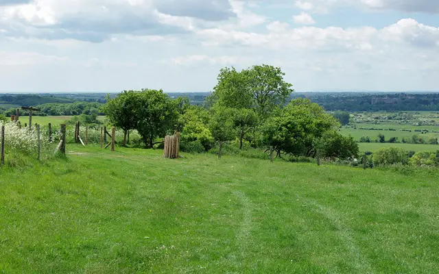 Wepham Walks, Sussex