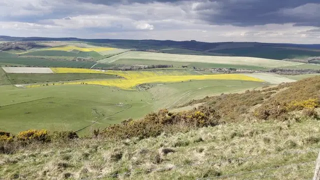 Woodingdean Walks, Sussex
