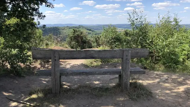 Woolbeding Common walk, Sussex