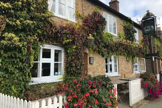 The Greyhound, Aldbury - the pub