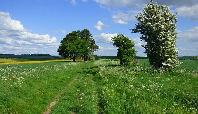 Aldbourne Walks, Wiltshire
