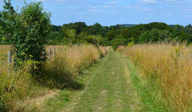 Allington Walks, Wiltshire