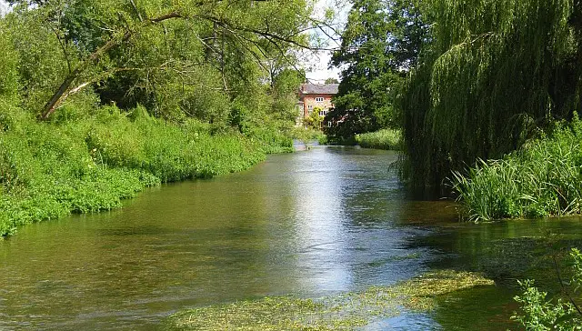 Amesbury Walks, Wiltshire