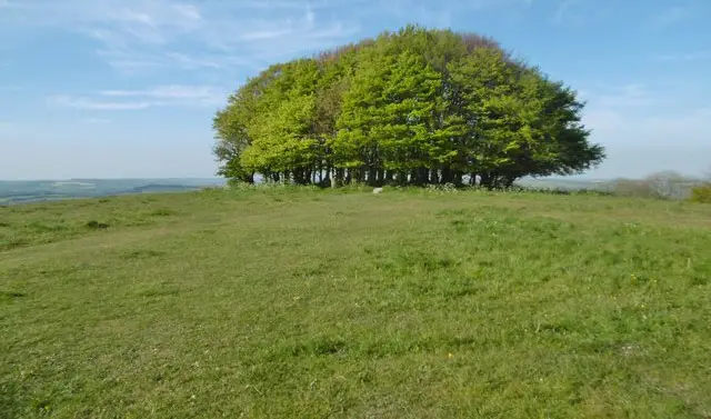 Ashcombe Bottom Walks, Wiltshire