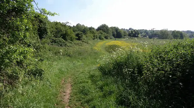 Avon Valley Walk Walks, Wiltshire