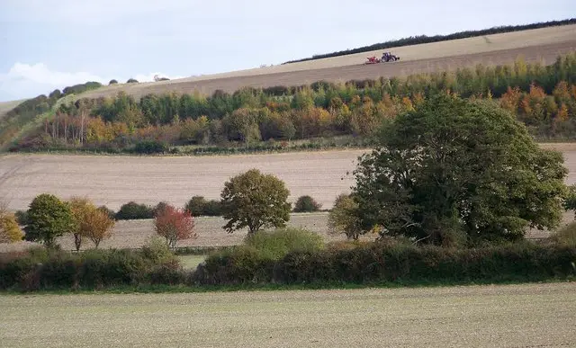 Bowerchalke walk, Wiltshire