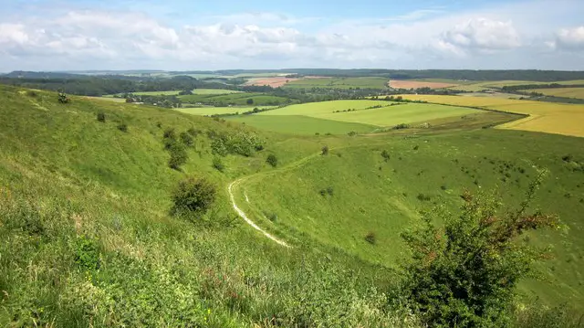 Burcombe Punch Bowl Walks, Wiltshire