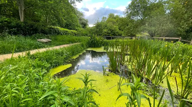 Chiseldon walk, Wiltshire