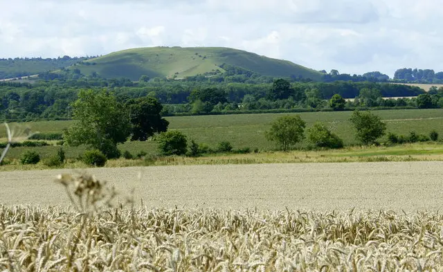 Cley Hill Walk, Wiltshire