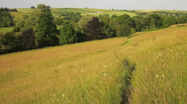 Coombe Bissett Walks, Wiltshire