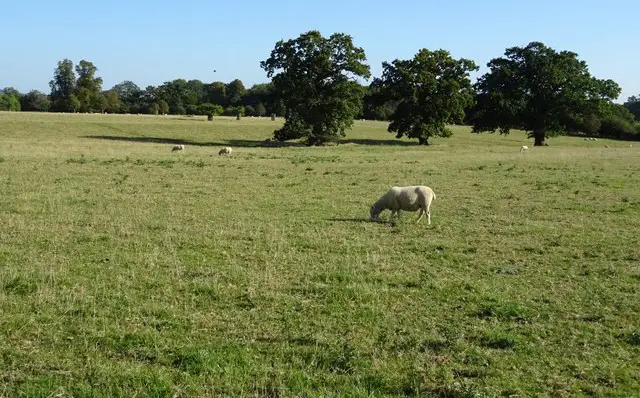 Corsham Walks, Wiltshire