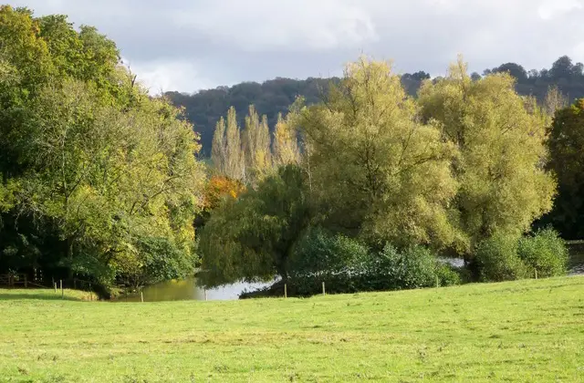 Dinton Park Walks, Wiltshire