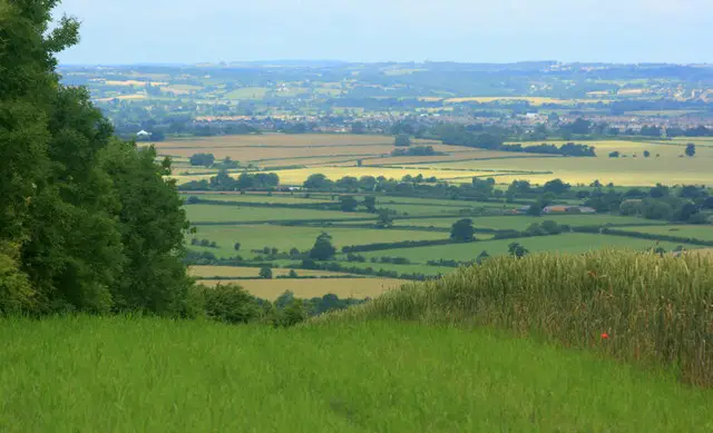 Edington Walk, Wiltshire