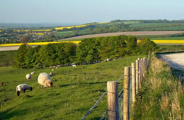 Fox Hill Walk, Wiltshire