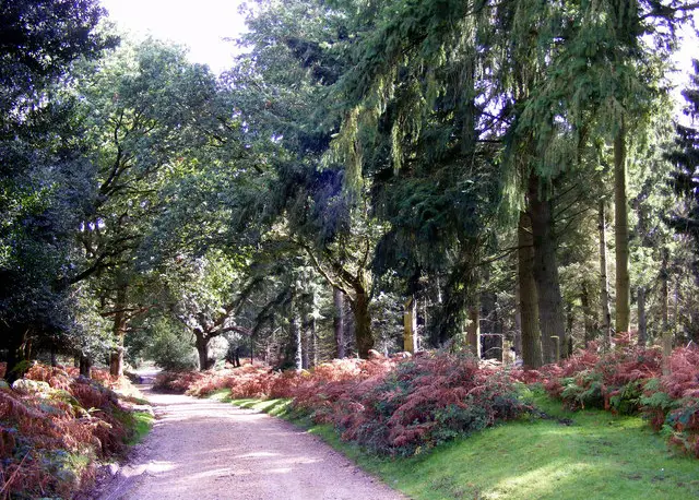 Fritham walk, Wiltshire