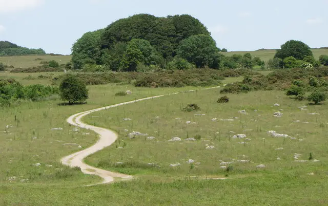 Fyfield Down walk, Wiltshire