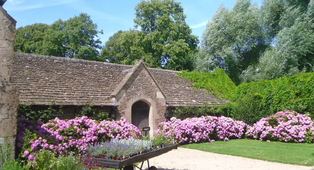 Great Chalfield Walk, Wiltshire