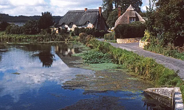 Great Ridge Downs Walks, Wiltshire