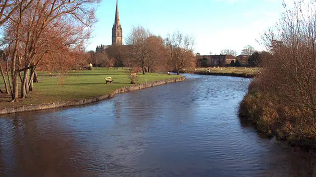 Harnham Watermeadows Walks, Wiltshire