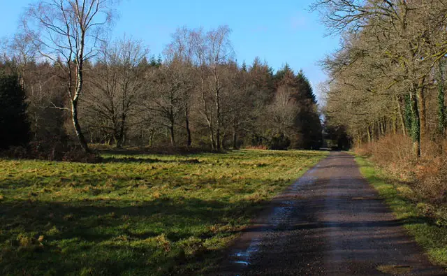 Hindon Walk, Wiltshire
