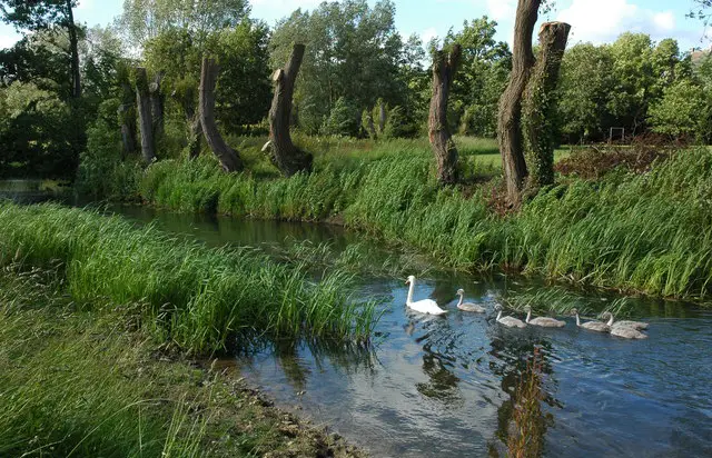 Malmesbury Walk, Wiltshire