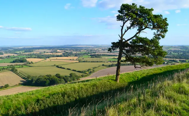 Martinsell Hill Walks, Wiltshire