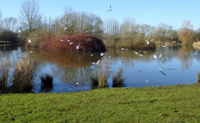 Mouldon Hill Park Walk, Wiltshire