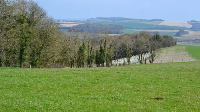Nunton Walks, Wiltshire
