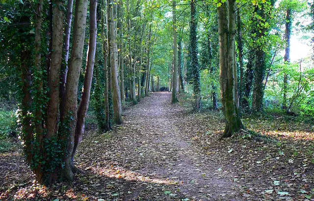 Lawns Park Walk, Wiltshire