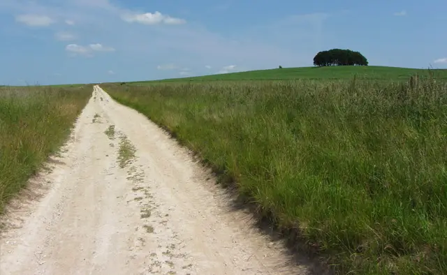 Overton Hill Walks, Wiltshire