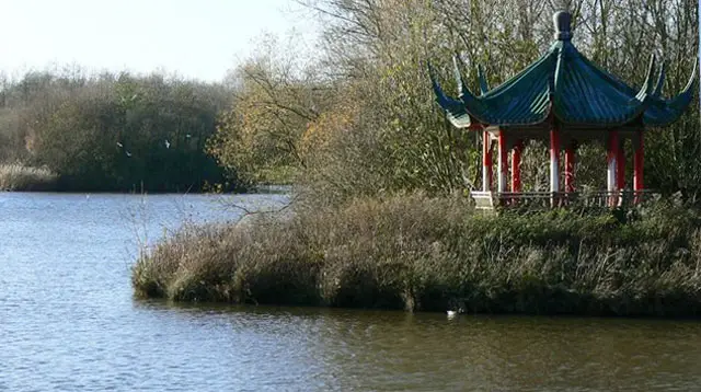 Peatmoor Lagoon Walk, Wiltshire