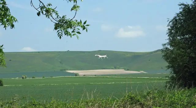 Pewsey Downs Walks, Wiltshire