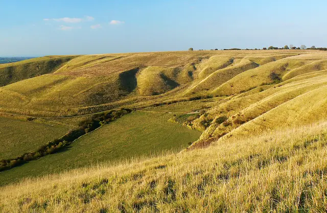 Roundway Down Walk, Wiltshire