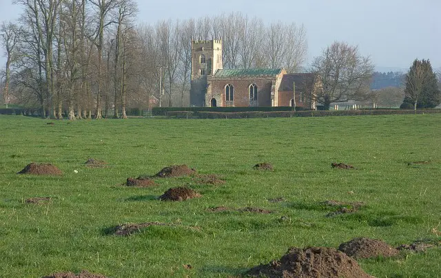 Rushall walk, Wiltshire