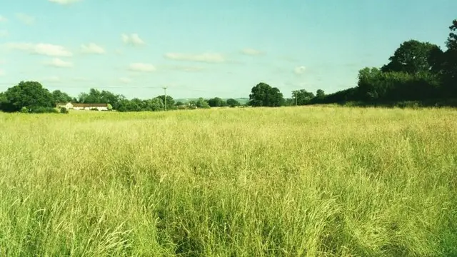 Southwick Country Park Walk, Wiltshire