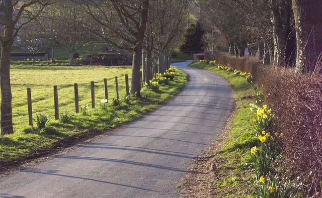 Stapleford Walks, Wiltshire