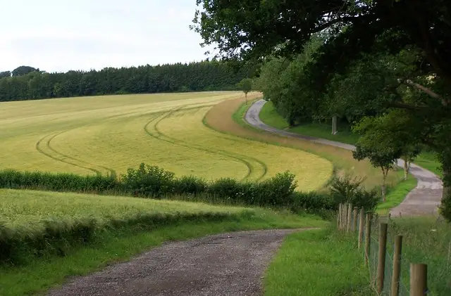 Stonymarsh Walk, Wiltshire