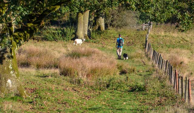 Stourton Walks, Wiltshire